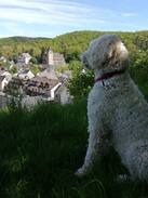 Niedererbach Apartment | Natur pur und trotzdem zentral