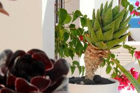 Arrieta Apartment | casita LA SIRENA, Lanzarote