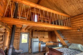 Chicken Cabin | The Chicken Suite