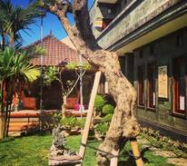 Central Seminyak House | Bali Surf & Stay