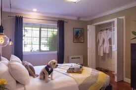 Upper Lake Hotel | Lodge Executive Suite - The Lodge At Blue Lakes
