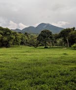 Cilobak Villa | Kebunsu Bogor Villa Kayu Jati 2++BDR Jungle View