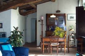 Nocchi House | ANTICA LIMONAIA CON PISCINA E GIARDINO PRIVATO