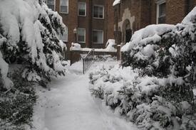 Mexicantown - Southwest Detroit Apartment | Quiet Apartment in Mexicantown