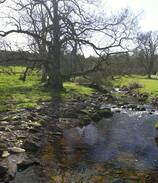 Maybole Bed & Breakfast | B&B in award-winning country house