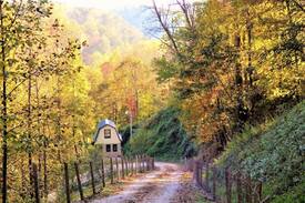 Sugar Grove House | Beech Mountain Retreat on Watauga River@BeechCreek