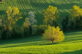 Montefano Bed & Breakfast | Relais il Margarito-Suite Ortensia