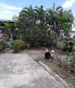 Tavua Hotel | Gold Town Tavua Hotel