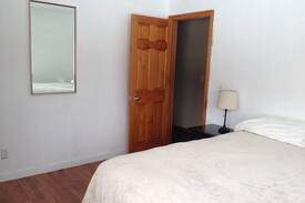 Carbondale House | Beautiful room Private bath. Very clean. Hot tub