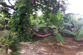 West End Cabin | One Love Rasta Cottages "Big"