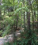 Pittsboro House | Chapel Hill Cottage