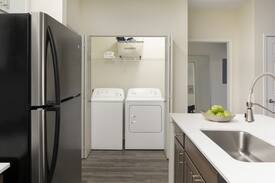 Downtown Apartment | Everything you need | 1BR in Stamford