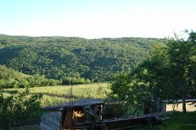 Brkac Apartment | Agroturizam Toni, Brkač, Motovun