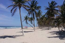 Margarita Island Apartment | Isla Margarita Playa el Agua 200 mts a la playa
