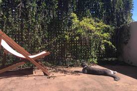 Morningside Bed & Breakfast | One Private Room for your work stay in Brisbane