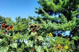 Montour Falls House | Wildwood Farm 3 Bedrooms ~ w/ living & dining room