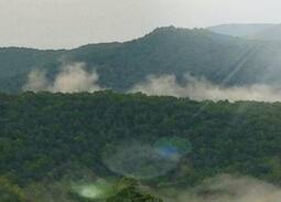 Elkins Cabin | Cabins Of Kelly Mountain in WV