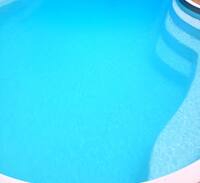 Disston Heights House | Entire 2/2 Home w/yard&pool heart of St.Petersburg