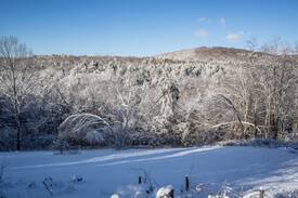 Hartland Four Corners Cabin | Adorable Pet Friendly Cottage in Hartland, VT
