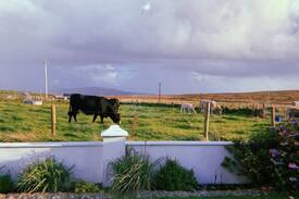 County Mayo House | Stunning Bayview Cottage