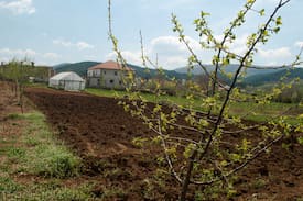 Puke Other | Agroturizem Lajthiza e Vogel