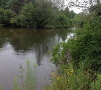 Fife Lake Cabin | The Cute Manistee River Cabin/great trout fishing!