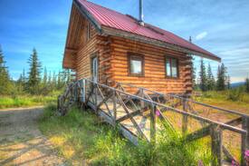 Chicken Cabin | The Chicken Suite