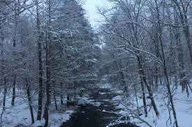 Tamiment Cabin | Quiet Country House in the Poconos FAMILIES ONLY