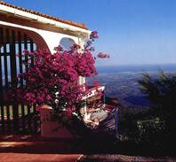Monchique Villa | The Algarve Hillstation - Villa -