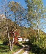 Taibon Agordino House | Al Forte resort...fra Dolomiti e betulle