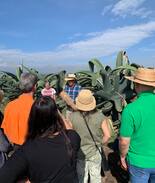Huamantla Villa | Hacienda Tecoac ideal para retiros y familias