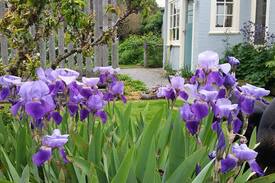 Canterbury House | Ridge Road Gardens Cottage