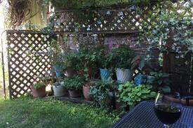 Richmond House | Secret Garden Guesthouse: quiet stay near Division