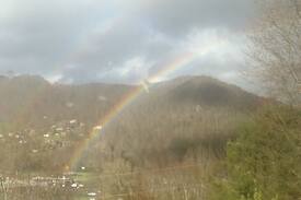 Maggie Valley Bed & Breakfast | Holly Tree Bed & Breakfast - Orchard View Room