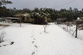Glen Aplin Cabin | Stanthorpe - Silverbirch Hill Cottage