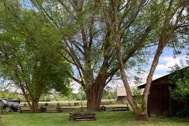 Halfway House | Wild Rose Ranch