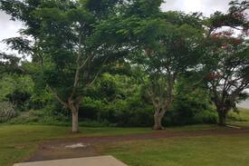 Cocos House | Villa Verde Flamboyan