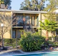 South Riverside Apartment | San Marco village condo!