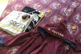 Squire Park House | Central Seattle: Sunny Harry Potter Private Room