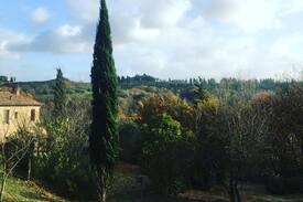 Sughera Apartment | VILLA LEDONIA