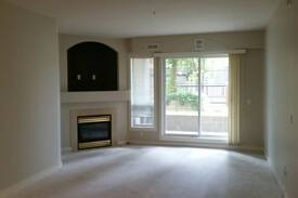 West Edmonton House | Bedroom Suite Fully Furnished