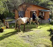 San Agustin de Valle Fertil Cabin | Cabaña Algarrobo Viejo Traslasierra Valle Fértil