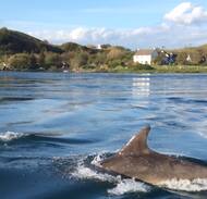Slate Islands Apartment | Argyll Kayaker Cove, Cuan Bunk Room