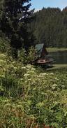 Seldovia Village House | Lagoon Pt Cabin - Green Room (private bedroom)