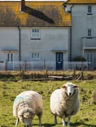 Camber House | 5⭐️ Rufty Tufty views over the atmospheric marsh!