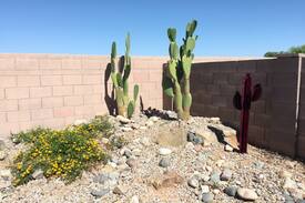 San Tan Heights House | Arizona living...Paradise in the desert.