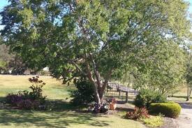 Nicholson Bed & Breakfast | Nicholson BnB and Arts Centre.
