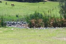 Lake Innes House | Welcome to the Dog House..a Beautiful Bush Retreat