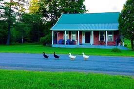 Brookfield House | Cozy Room in Farmhouse near Colgate, Cooperstown