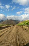 Breede Valley House | Damhuis, winefarm living, Rawsonville,